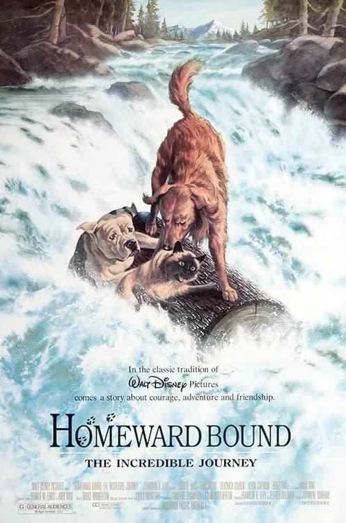 Homeward Bound: The Incredible Journey film posteri